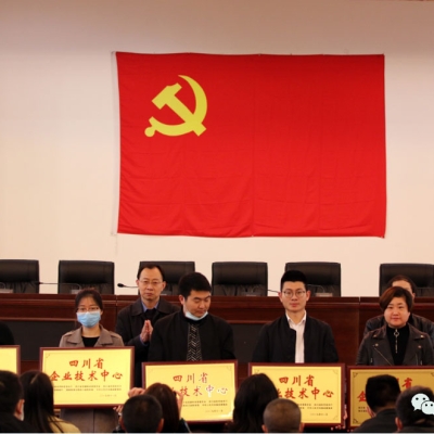 四川奇石緣科技公司獲評“四川省企業(yè)技術(shù)中心”